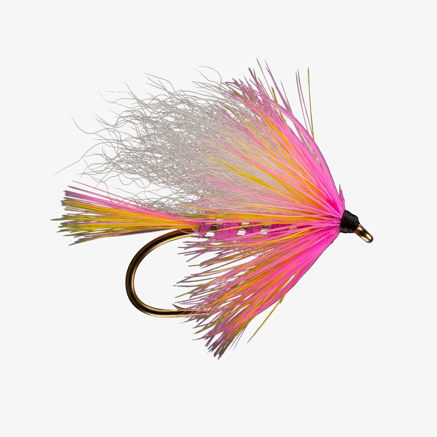 BordenSpecial