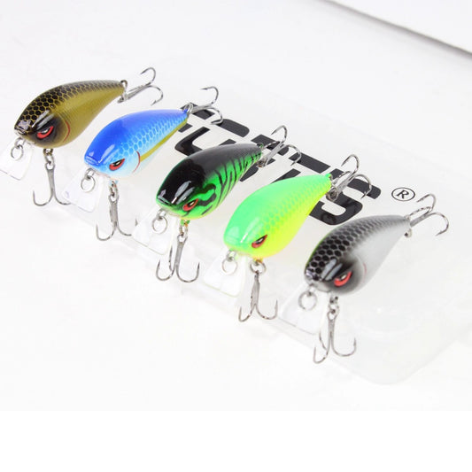 3"CrankbaitQty5|Floating|FORTIS