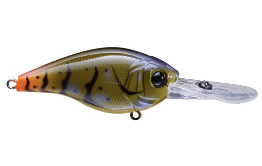 6thSenseCloud9C10-OzarkCraw-DC