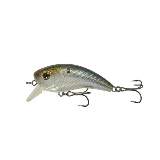 6thSenseMovement80X-ThreadfinShad-DC