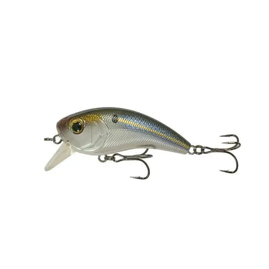 6thSenseMovement80X-ThreadfinShad-DC