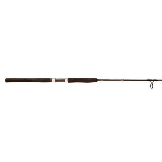 Aerial®Jetty&SurfSpinningRod