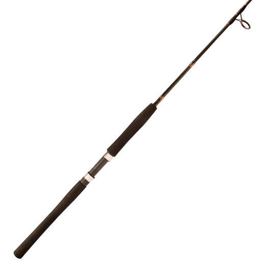 Aerial®Jetty&SurfSpinningRod