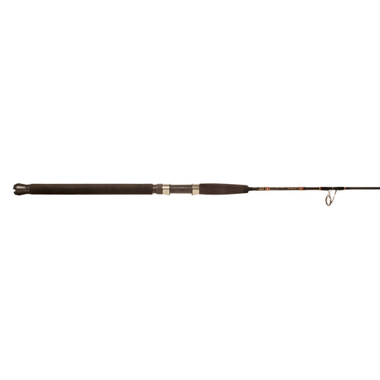 Aerial®JiggingSpinningRods