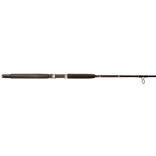 Aerial®LiveBaitSpinningRods