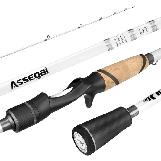 AssegaiTechniqueBassFishingRods