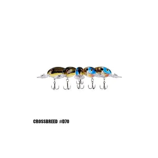 Bandit200-Crossbreed
