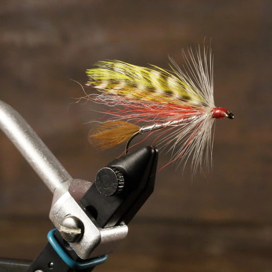BarnesSpecial