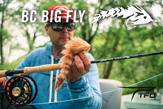 BCBigFly