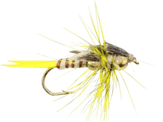 BeadedYellowStoneflyFlyTyingMaterialKitsize10