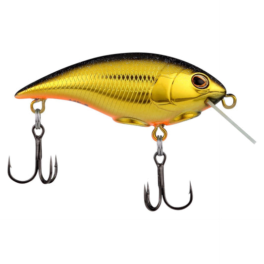 BerkleyShallowMoneyBadger