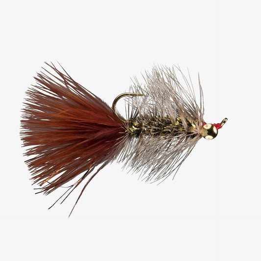 BigEyeBugger