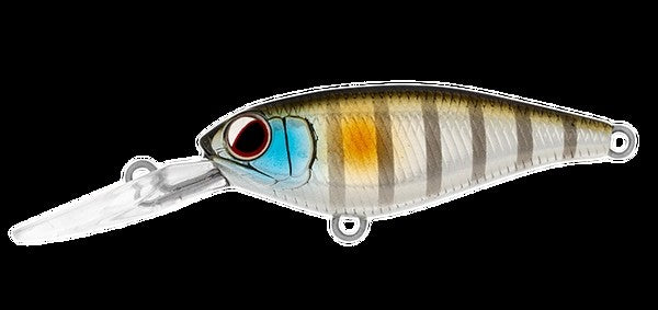 DAIWAINFEETKODACHI