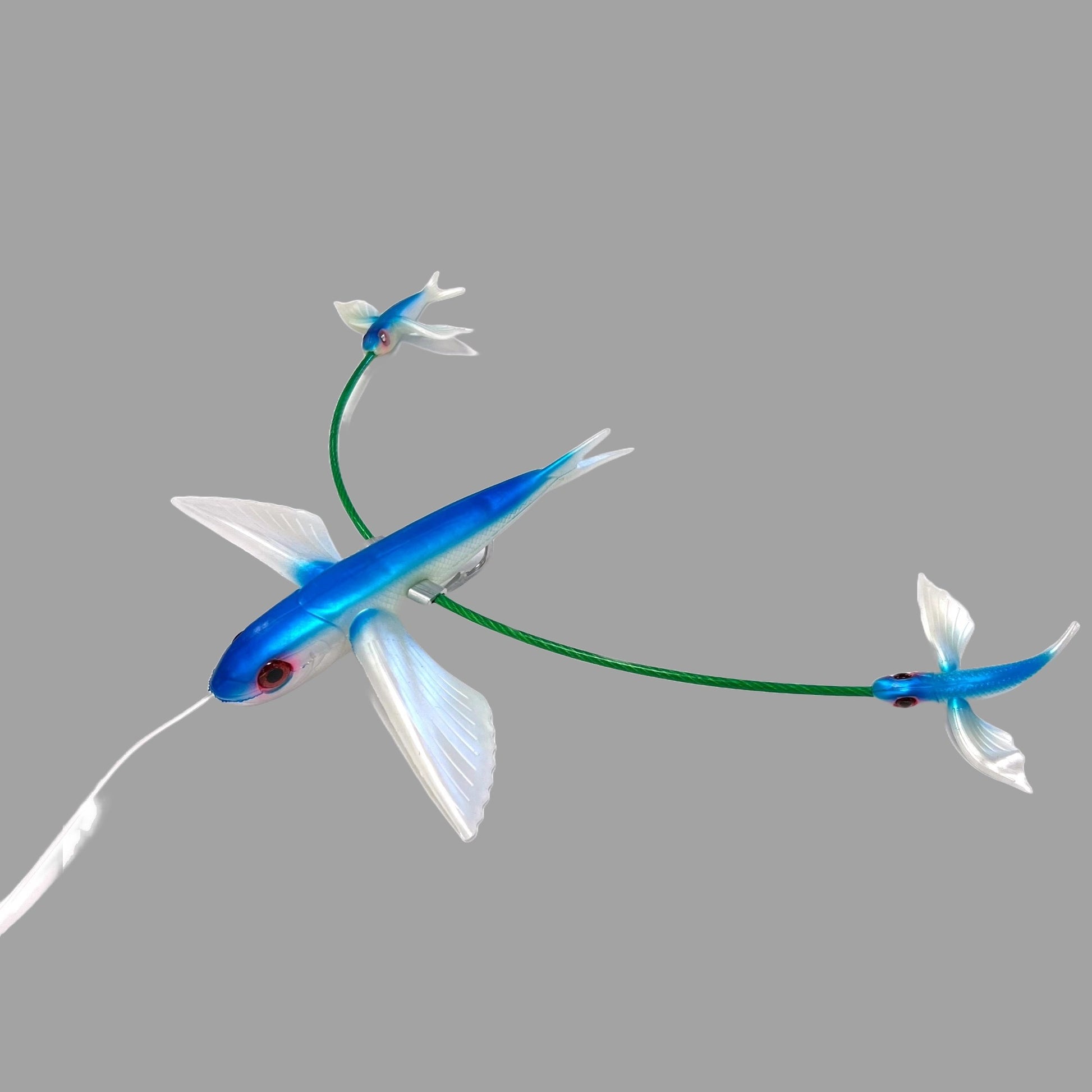 FreakyFlyaFlyingFishTeaser