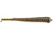 GeneLarew3.75"NedRigInchWorm7pk-Montezuma'sRevenge