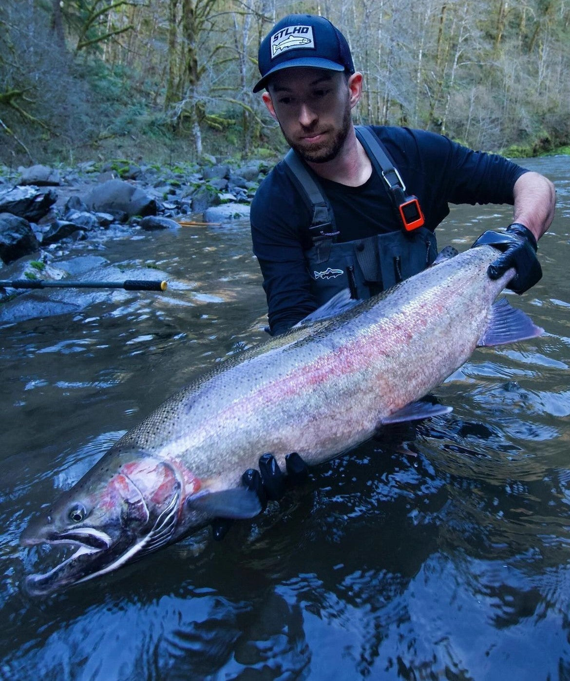 SISalmon&Steelhead