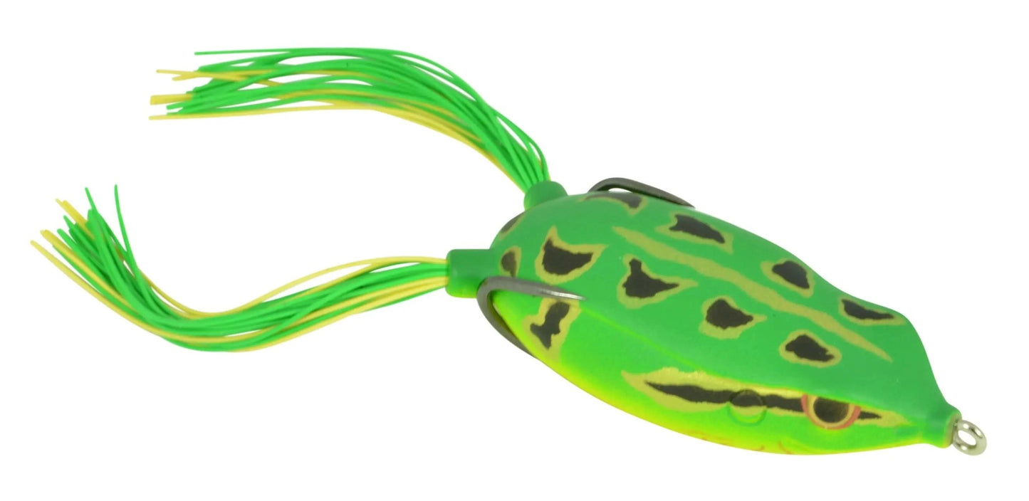 SPROBronzeyeFrog65-GreenTree