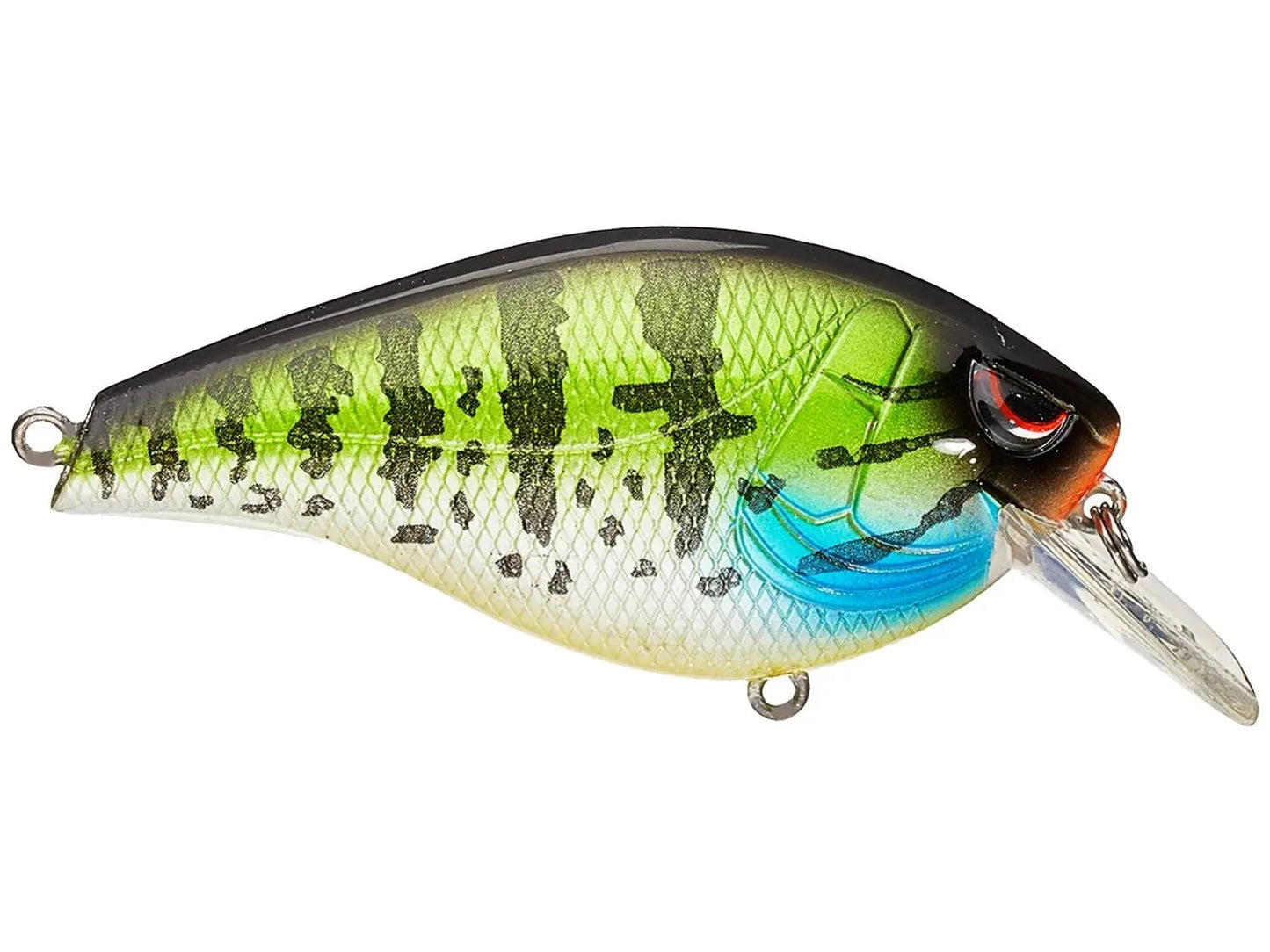 SPROHunter65SB-PumpkinSeed