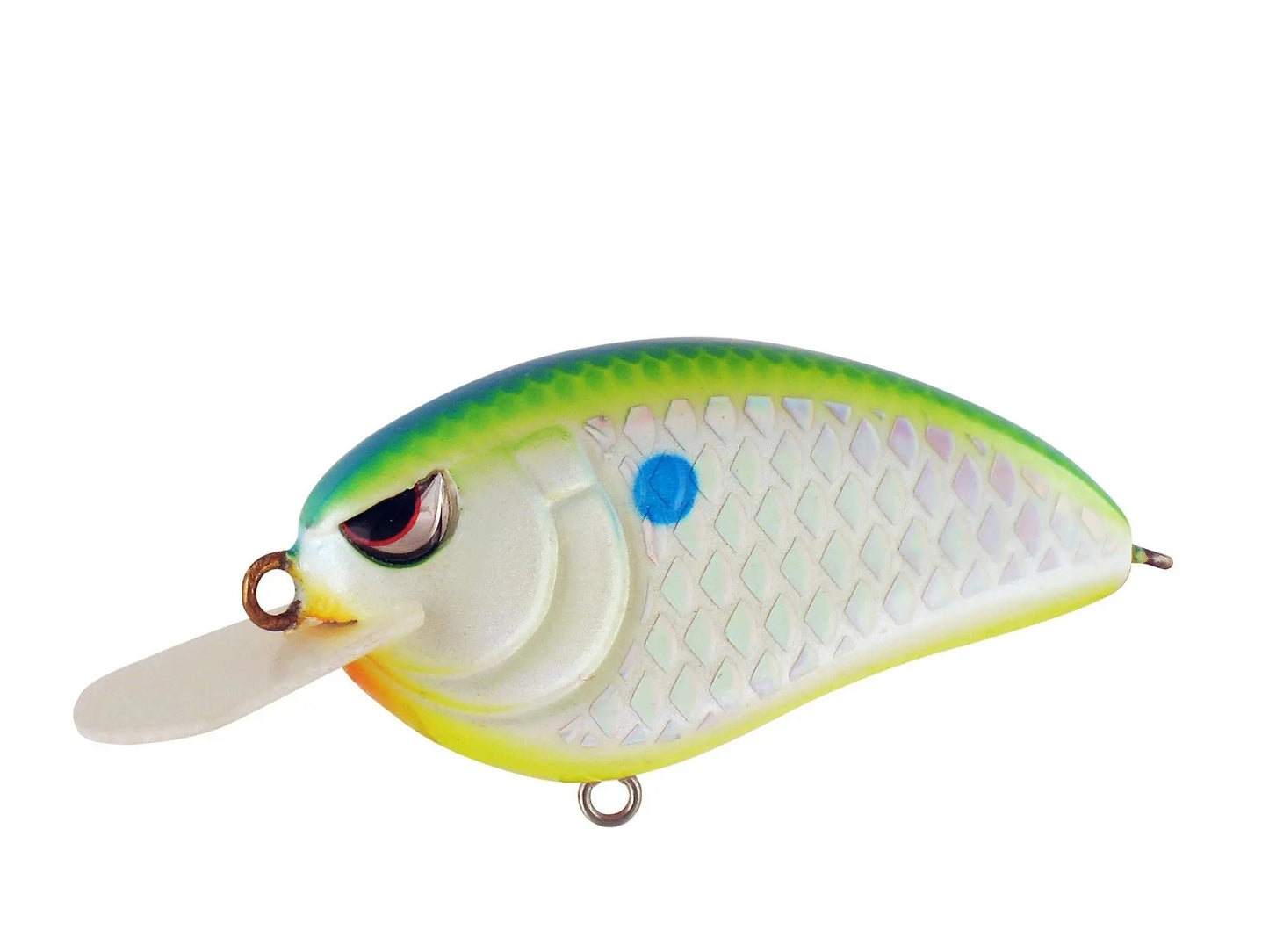 SPROLittleJohn50-CitrusShad