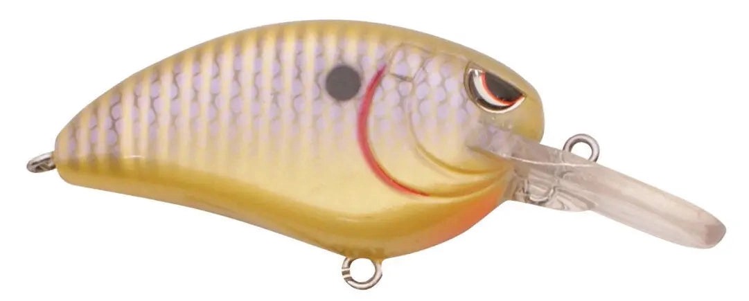 SPROLittleJohnMD-SunnyBream