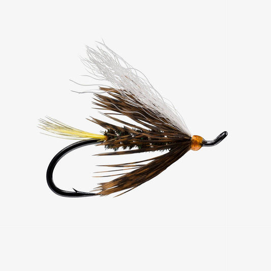 SteelheadCoachman