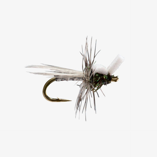 StillbornMidge