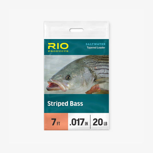 StripedBassLeader