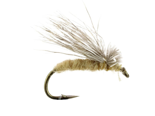 TanElkCaddis(NoHackle)Size12|Qty.6