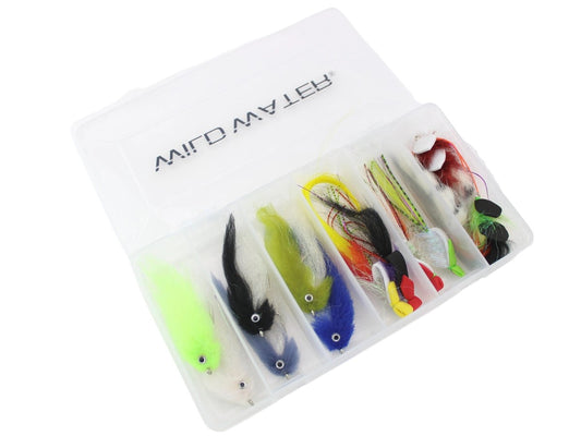 TopWaterBaitfishFlyAssortment12SaltwaterFlies|FlyBox