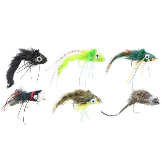 TopWaterFlyAssortment|Qty.6
