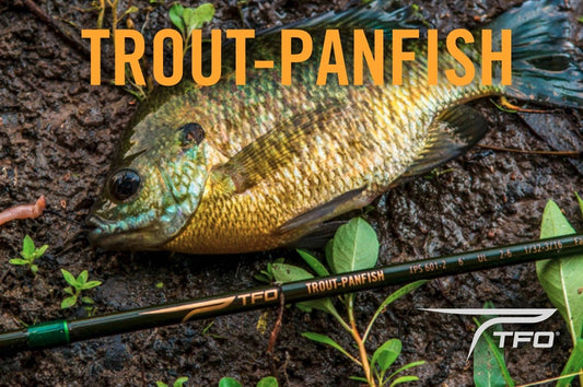 Trout-Panfish