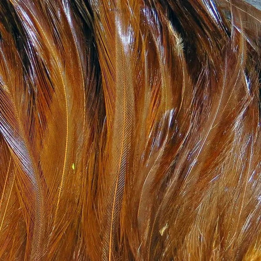 WapsiNeckHackleStrung-Brown