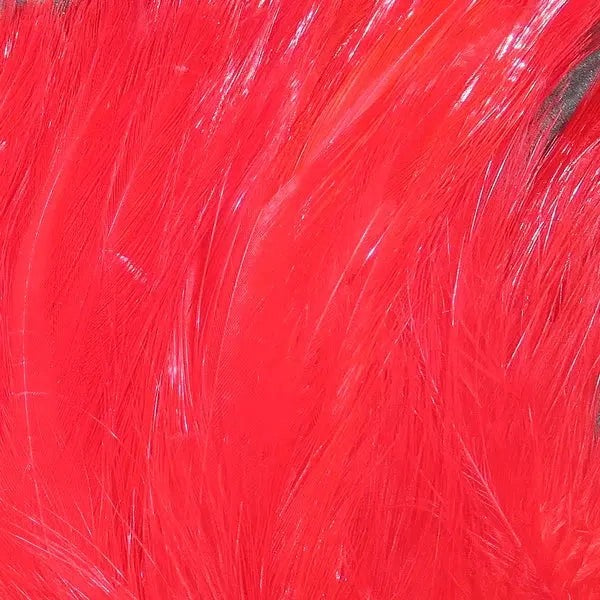 WapsiNeckHackleStrung-FLRed