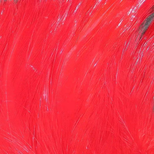 WapsiNeckHackleStrung-FLRed