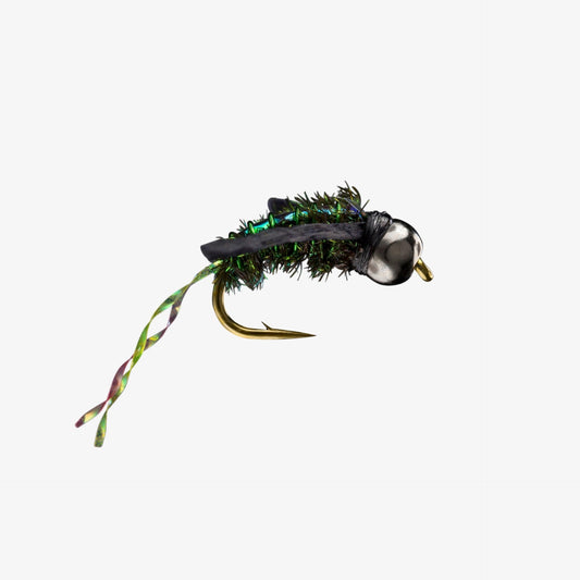 WaterBoatman