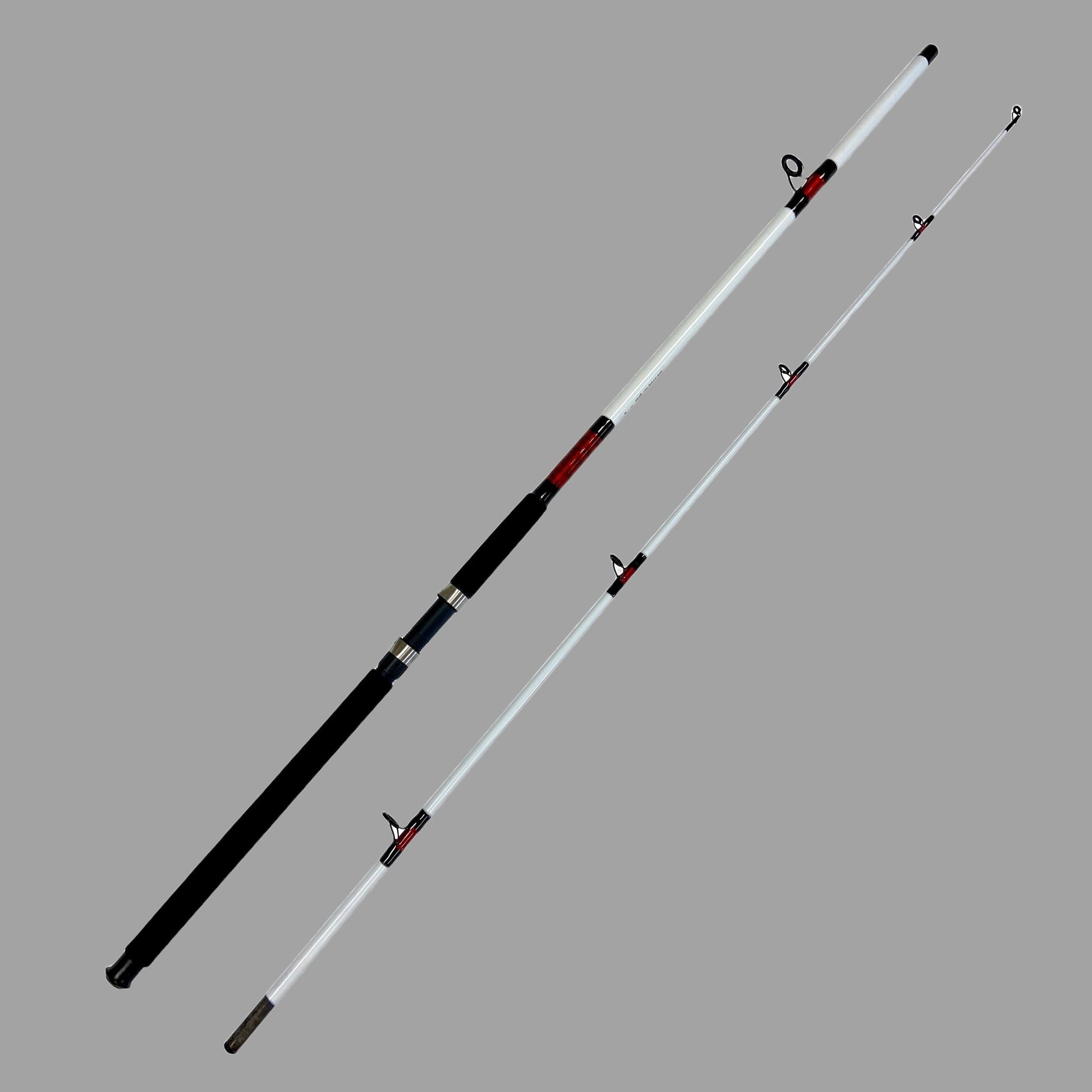 WhiteBeast-15-30lb.10ft.2pcSurfRod