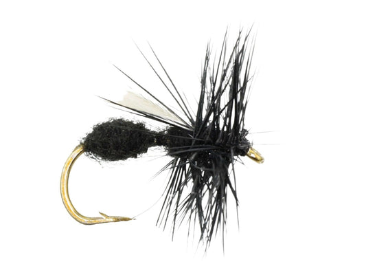 WingedBlackAntSize12|Qty.6